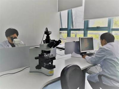 上海公司專業健康體檢與檢驗科服務，守護您的健康生活