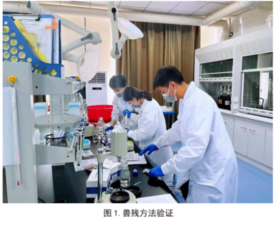 興安盟農(nóng)畜產(chǎn)品質(zhì)量安全檢驗(yàn)檢測(cè)中心啟動(dòng)33項(xiàng)獸藥殘留擴(kuò)項(xiàng)及室內(nèi)環(huán)境檢測(cè)工作