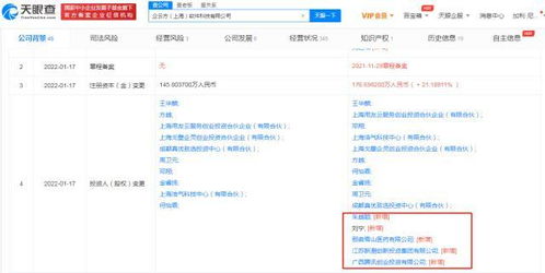 信息系統(tǒng)集成服務(wù)的核心價(jià)值與發(fā)展趨勢(shì)